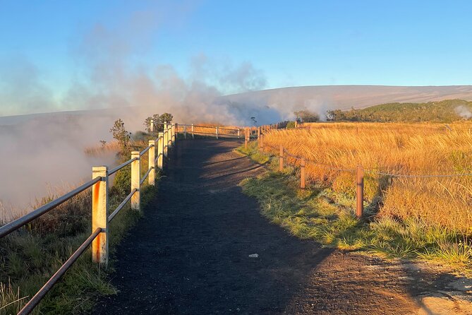 Hawaii Volcanoes & Forests - Private Guided Walks & Hikes - Forest and culture moments: ecology, flora-fauna, and meaning