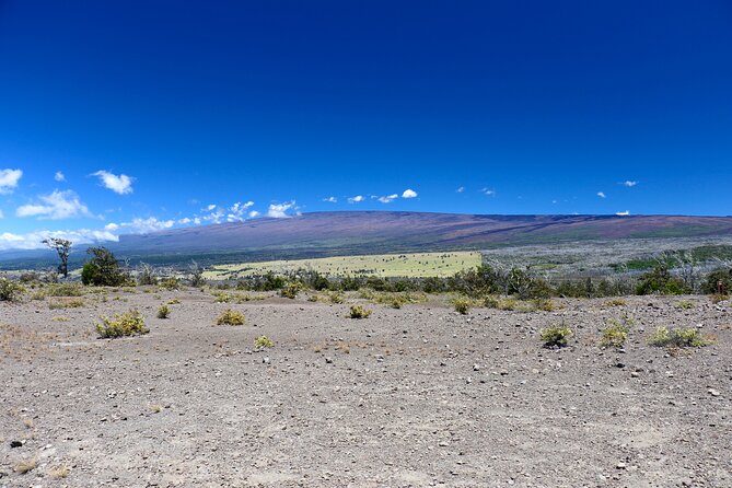 Hawaii Volcanoes National Park and Hilo Highlights Small Group Tour - How I’d judge the value at $187.95 per person
