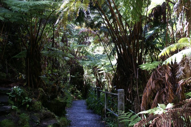 Hawaii Volcanoes National Park Experience from Maui - Kohala Coast and Hilo: where the day turns cultural