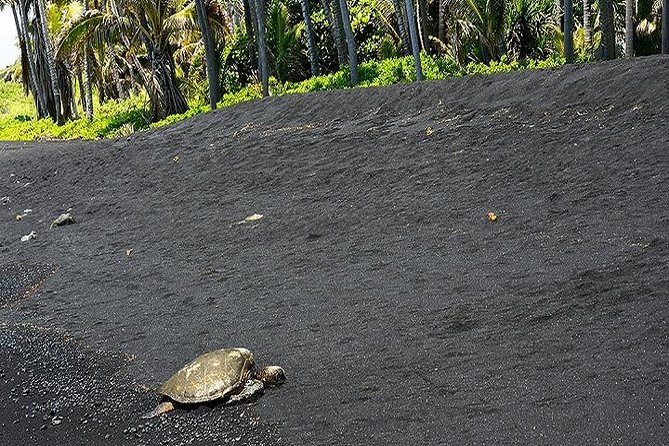 Hawaii Volcanoes National Park Experience from Oahu - Kona Coffee and Town Start: Getting Oriented Fast
