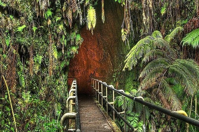 Hawaii Volcanoes National Park Experience from the Big Island - Mauna Kea Access Road, Kohala Coast, and Hilo Sights