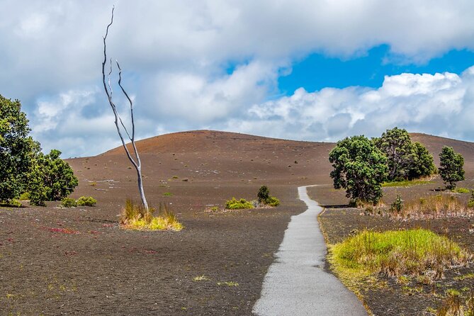 Hawaii Volcanoes National Park Self-Guided Driving Audio Tour - Petroglyphs, Holei Sea Arch, and a smart art stop before you leave