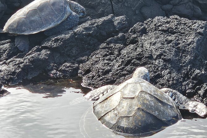 Hawaii Volcanoes, Waterfalls, Beaches & Hilo Highlights Day Tour - Big Island Candies: Local Treat Sampling Without the Long Wait