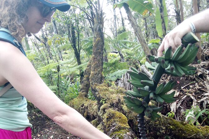 Hawaiian Rainforest Banana Cultivation Experience - Price and value: $75 for 2 hours of hands-on farming