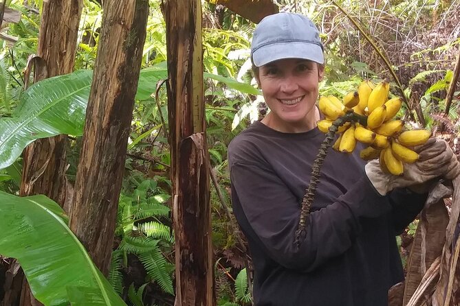 Hawaiian Rainforest Banana Cultivation Experience - Meeting Jason and Nicky: why the farm story matters