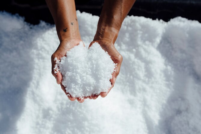 Hawaiian Salt Farm Tour in Kona - The tasting: how to compare Hawaiian salts like a pro