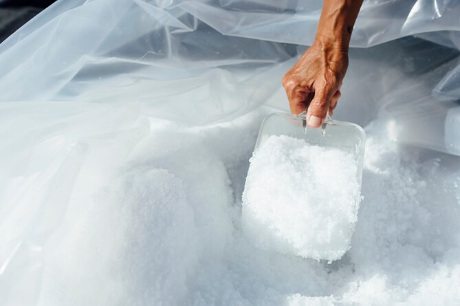 Hawaiian Salt Farm Tour in Kona - Value for $27: what you get for the money