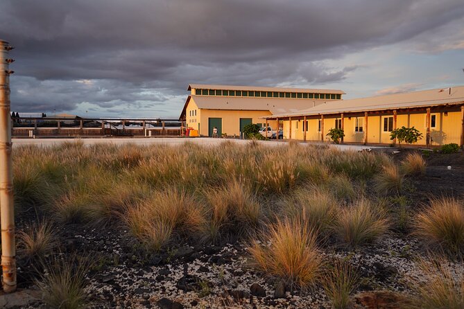 Hawaiian Salt Farm Tour in Kona - Who this tour suits best (and who might want a different plan)