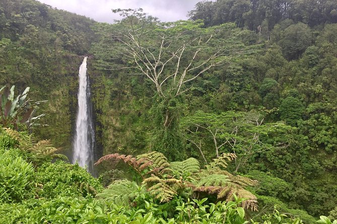 Heavenly Hamakua: From Kona - Waimea and Waipio Valley: ranch town to sacred valley views