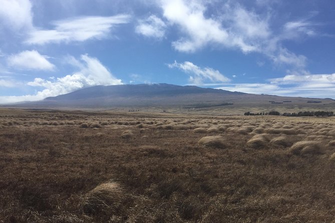 Heavenly Hamakua: From Kona - What $235 covers—and why it can be good value