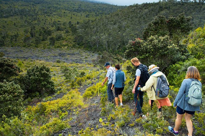 Hidden Craters Hike of Kona - Stop 2: Hualalai behind locked gates, craters and lava tube fun