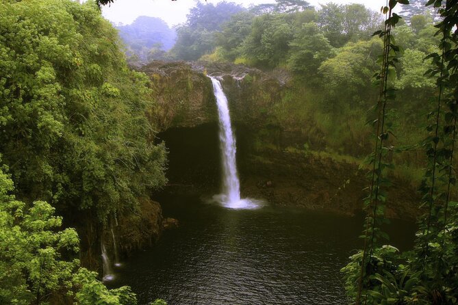 Hilo and Volcano National Park Tour for Cruise Passengers at port - Hawaii Volcanoes National Park: Kīlauea viewpoints in a timed 2-hour block
