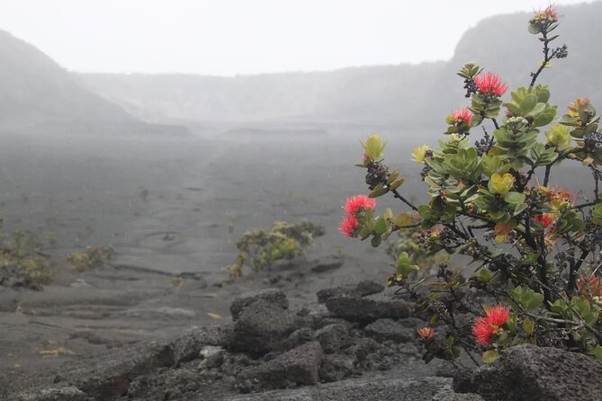 Hilo Cruise Ship Excursion: Volcanoes National Park Rainbow Falls - Stop 0: Liliuokalani Park and Gardens gives you Hilo context