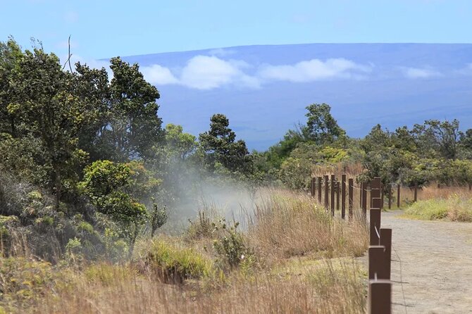 Hilo Cruise Ship Excursion: Volcanoes National Park Rainbow Falls - Hawaii Volcanoes National Park: Kīlauea steam vents and visitor center time