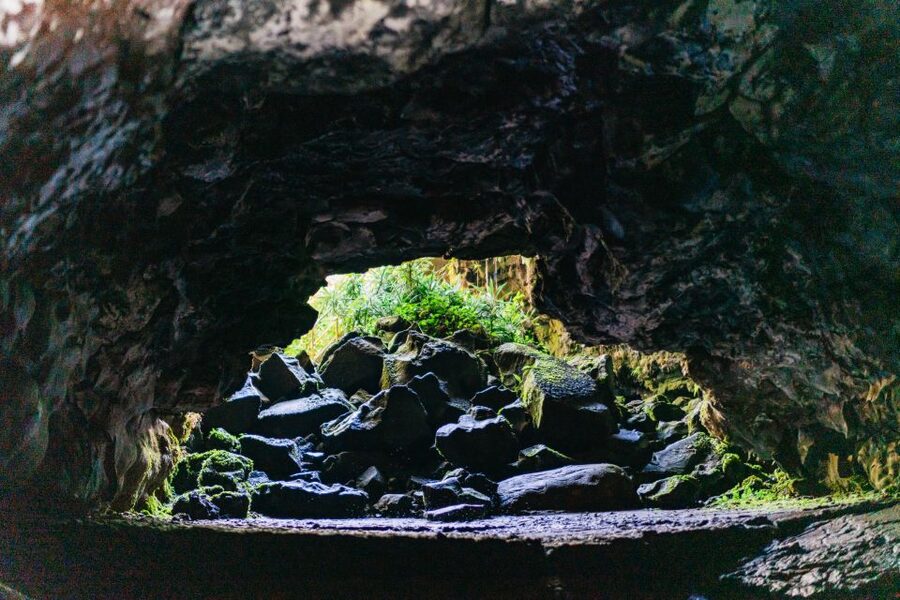 Hilo: Elite Volcano Hike - Should you book it?
