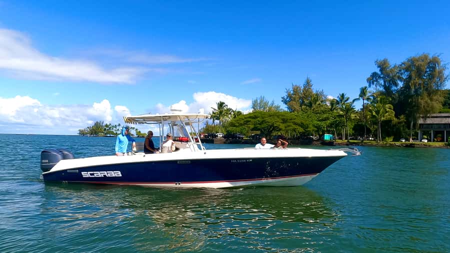 Hilo: Humpback Whale-Watching Cruise with Snacks and Drinks - Key highlights to know before you go
