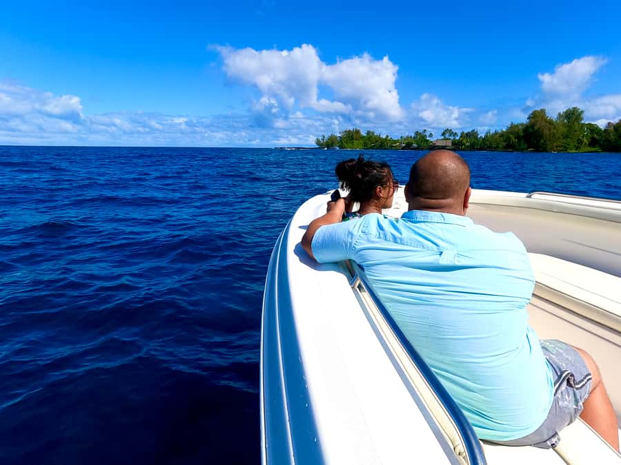 Hilo: Humpback Whale-Watching Cruise with Snacks and Drinks - On the Water: A 90-Minute Cruise Built for Watching