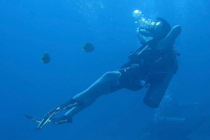 Hilo's Remote Tropical Reef 2 Tank Boat Dive - Boat comfort and equipment: the practical stuff that decides your mood