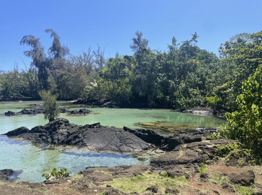 Hilo: Sea Turtle Lagoon and Black Sand Beach Snorkel - Price and value: is $150 per person fair for a 3-hour snorkel?