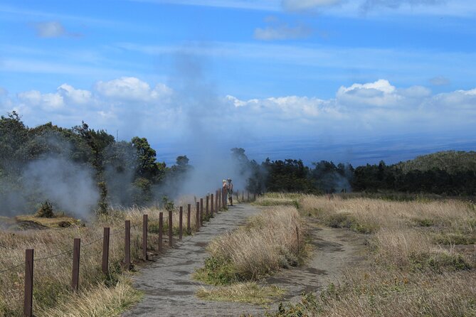 Hilo Shore Excursion: Active Volcano, Lava Tube, Waterfall and Gardens - Rainbow Falls plus a chocolate break: the Hilo finishing stretch