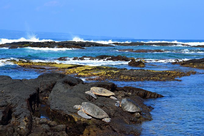 Hilo Shore Excursion: Volcanoes National Park & Black Sand Beach - How the day actually flows from Hilo Port