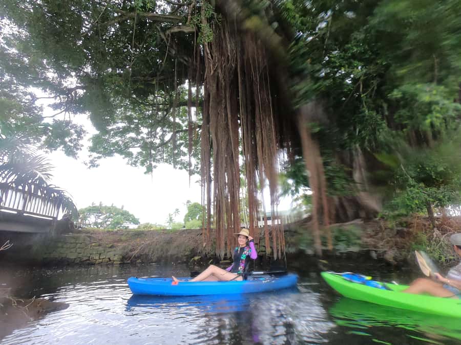 Hilo: Wailoa River to King Kamehameha Guided Kayaking Tour - Key things to know before you paddle