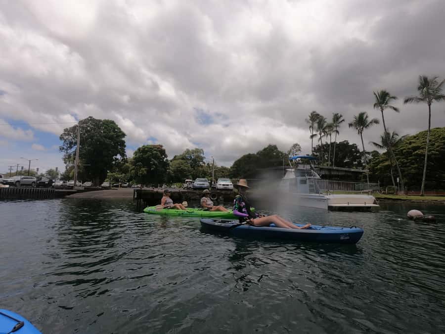 Hilo: Wailoa River to King Kamehameha Guided Kayaking Tour - Wildlife spotting: fish, birds, and the relaxed pace