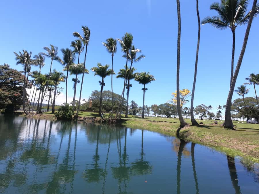 Hilo: Wailoa River to King Kamehameha Guided Kayaking Tour - King Kamehameha Statue stop: a break plus meaning