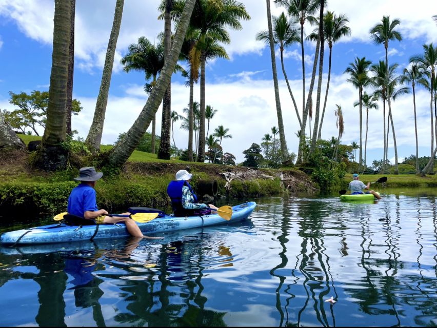 Hilo: Wailoa River to King Kamehameha Guided Kayaking Tour - Price and value: what $125 covers (and what it doesn’t)