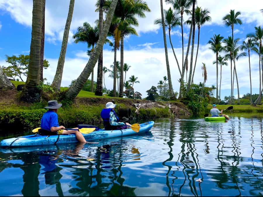 Hilo: Wailoa River to King Kamehameha Guided Kayaking Tour - Japanese-style bridges and dragon arches you can paddle under