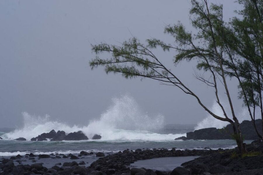 Hilo: Walking Ghost Tour - Key things I’d zero in on