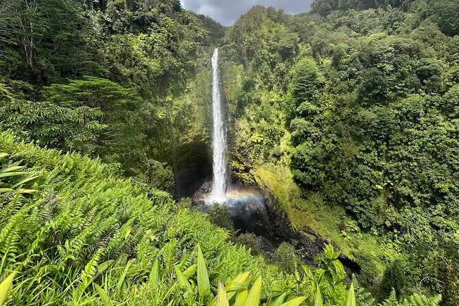 Hilo: Waterfall Hike and Swim with Native Hawaiian - The main stops: what you’ll see and what to watch for
