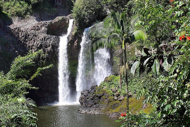 Hilo Waterfall Swim and Hike with Hilo Cruise Ship Pickup - Kolekole Falls plus private access: why this Hilo stop feels special