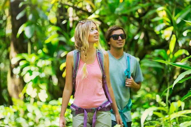 Hilo Waterfall Swim and Hike with Hilo Cruise Ship Pickup - Small group size (max 12) and what it buys you