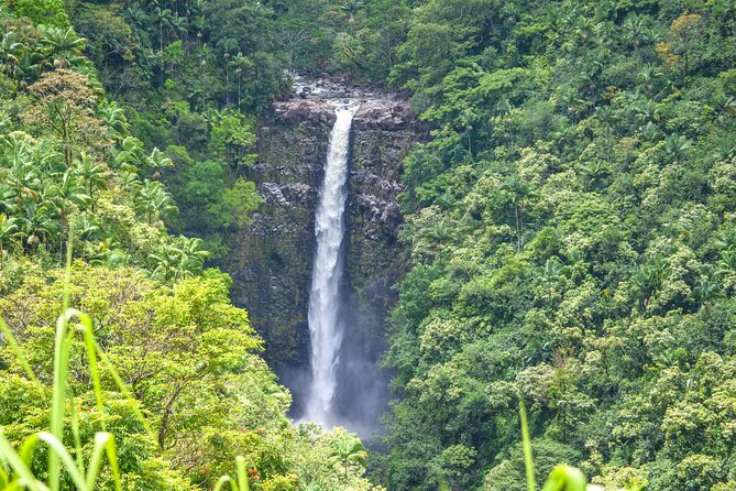 Hilo Waterfall Swim and Hike with Hilo Cruise Ship Pickup - Weather, swim chances, and what to pack