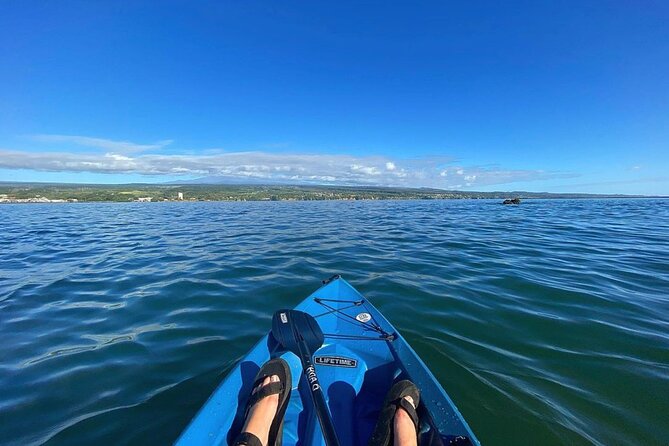 Historic Hilo Bay and Coconut Island Guided Kayak Adventure - Meeting at Hilo Ocean Adventures: Timing and Practical Setup