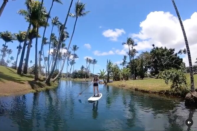 Historic Hilo Bay & Coconut Island SUP Adventure - Your Guide Matters: What Isaiah and Matt Style Brings