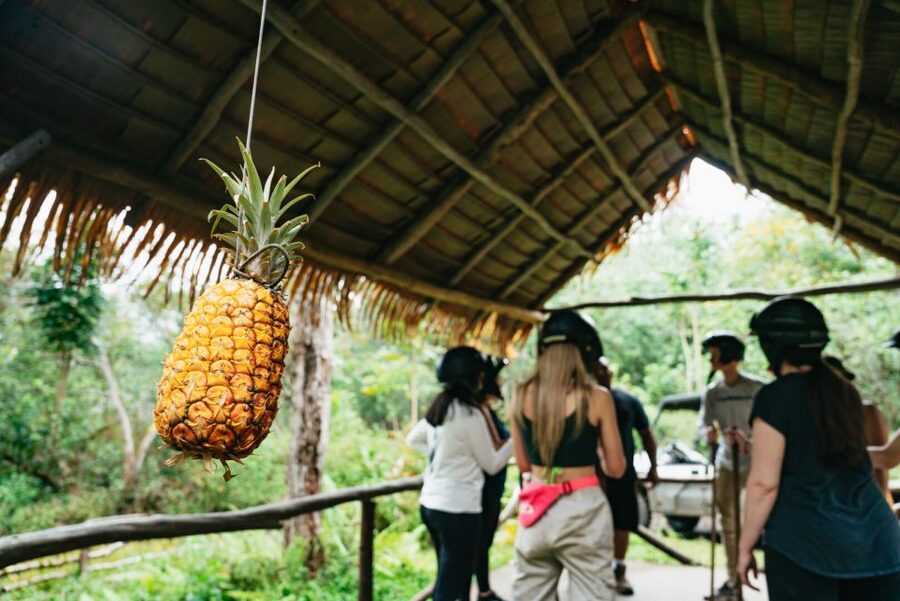 Holualoa: Polynesian Culture ATV Tour - Who Should Book This Tour, and Who Should Skip It