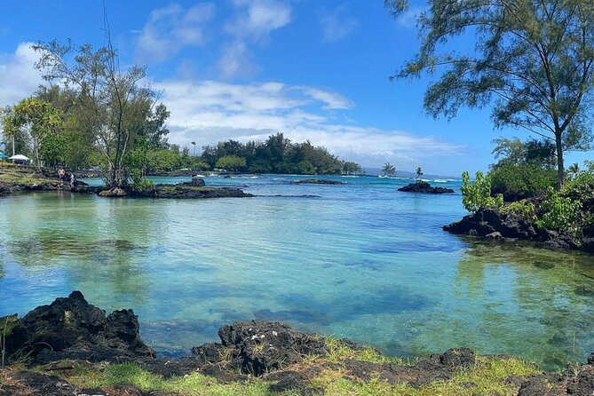 Introductory Beach Scuba Dive - 9:00 AM Logistics From 1717 Kamehameha Ave