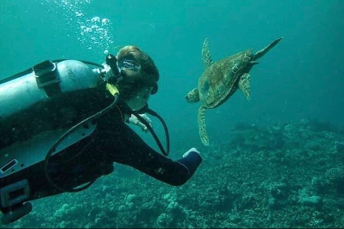 Introductory Beach Scuba Dive - Health Rules, English Requirements, and the Altitude Safety Limit