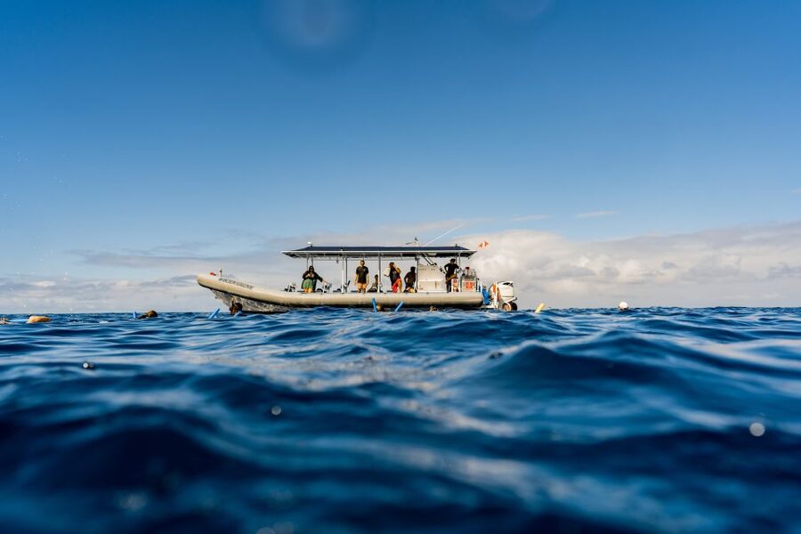 Kailua-Kona: Big Island Morning Snorkeling Tour with Lunch - Who This Tour Fits Best in Kona