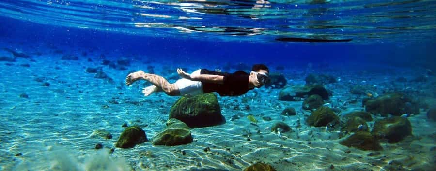 Kailua Kona: Dolphin, Sea Cave and Captain Cook Snorkel Tour - Snorkeling at Captain Cook Monument: Reef Time Without the Guesswork