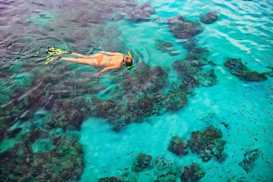Kailua Kona: Dolphin, Sea Cave and Captain Cook Snorkel Tour - Getting There on Time: The Dock Has No Waiting Staff