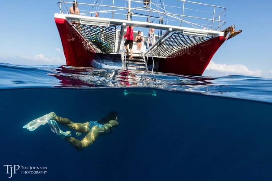 Kailua-Kona: Kealakekua Bay Snorkel and Sail with Lunch - Key moments worth planning for