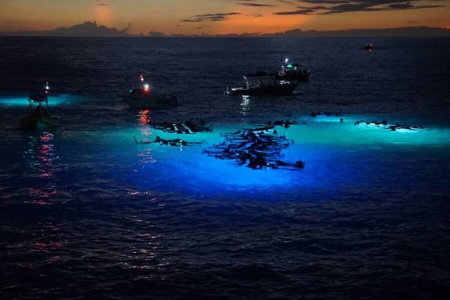 Kailua-Kona: Manta Ray Watching Nighttime Boat Trip - From Honokohau Harbor to open water: how the 2 hours flows