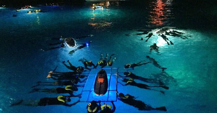 Kailua Kona: Night Manta Ray Adventure on the Big Island - The Boat Ride Out: Your 20–30 Minutes of Waiting Time