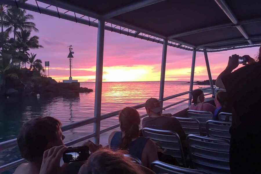 Kailua Kona: Night Manta Ray Adventure on the Big Island - Who This Tour Is Best For