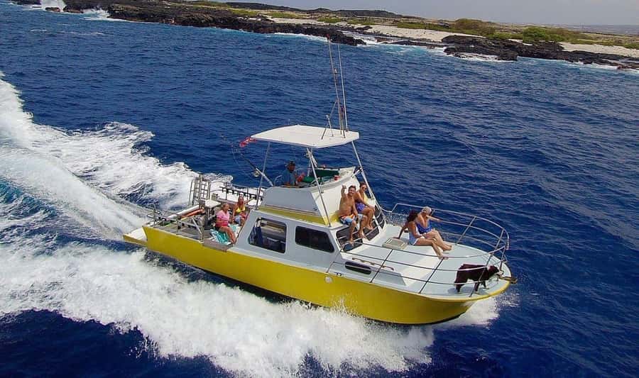Kailua-Kona: Night Manta Snorkel or Dive - Where You’ll Be and Why Kailua-Kona Makes This Easy