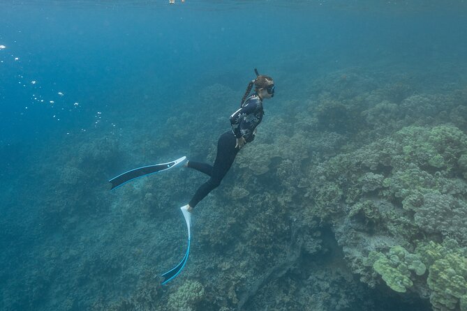 Kaimana Kealakekua Bay Captain Cook Adventure - Price and Value: Is $160 for 3 Hours Fair?