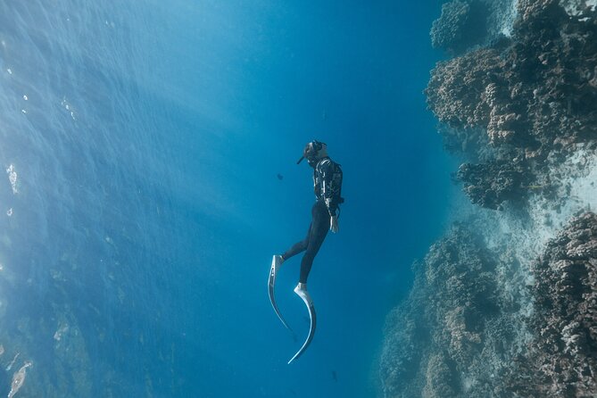 Kaimana Kealakekua Bay Captain Cook Adventure - Who This Adventure Fits Best (And Who Might Want Something Else)